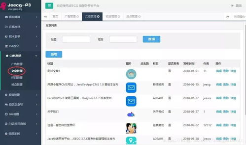 jeecg 首個開源插件誕生 cms網站插件1.0 發布