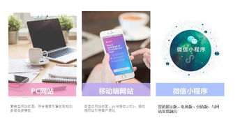 重磅消息 筑巢e cms震撼上線